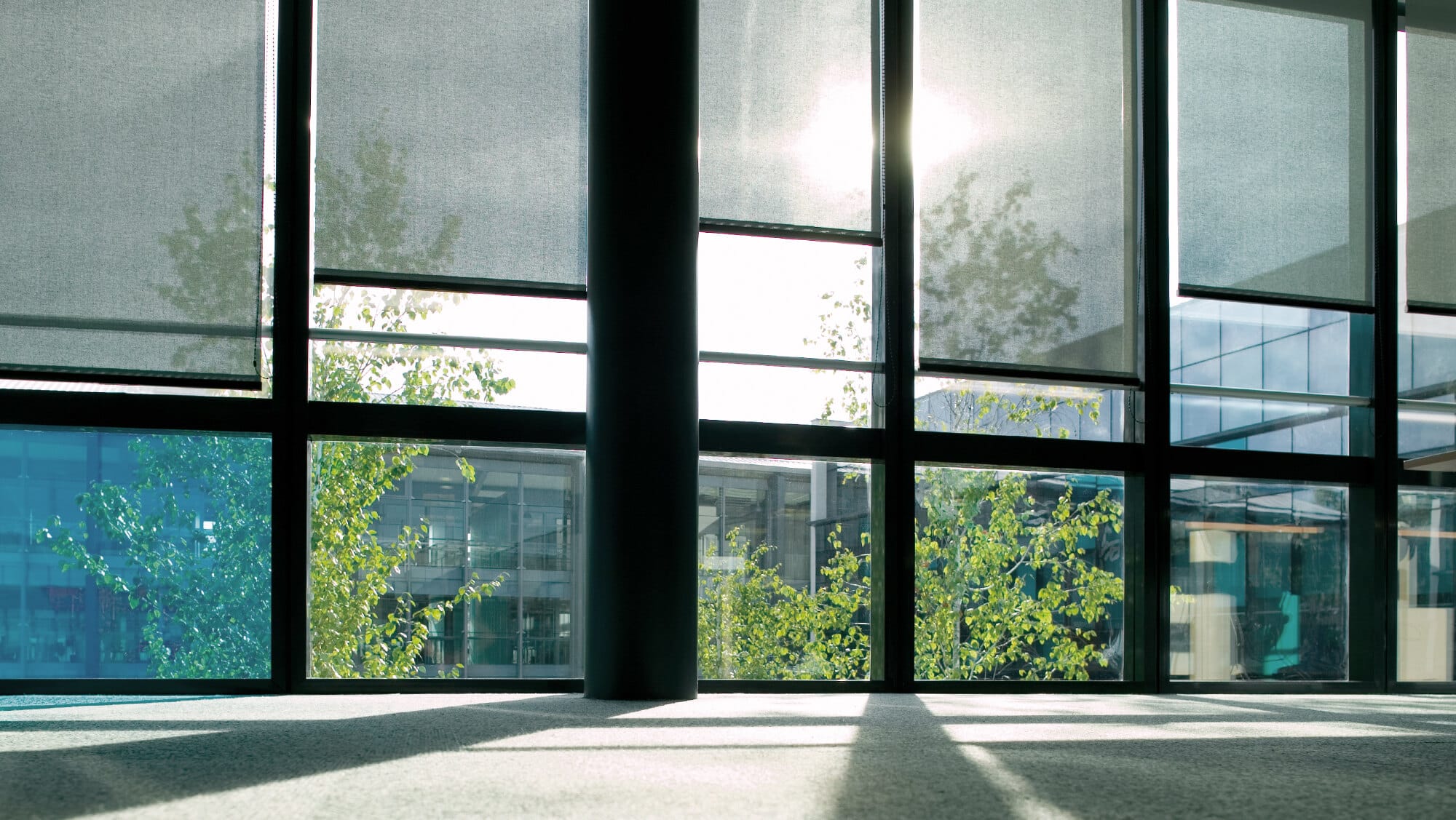 Bureau moderne baigné de lumière naturelle avec baies vitrées, stores gris et vue sur des arbres extérieurs.